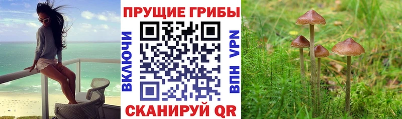 Галлюциногенные грибы MAGIC MUSHROOMS  Островной 